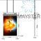 Διπλές μεγέθους ψηφιακές οθόνες 55 διαφήμισης ταπετσαρία ίντσας OLED που κρεμά τη λιανική επίδειξη προμηθευτής